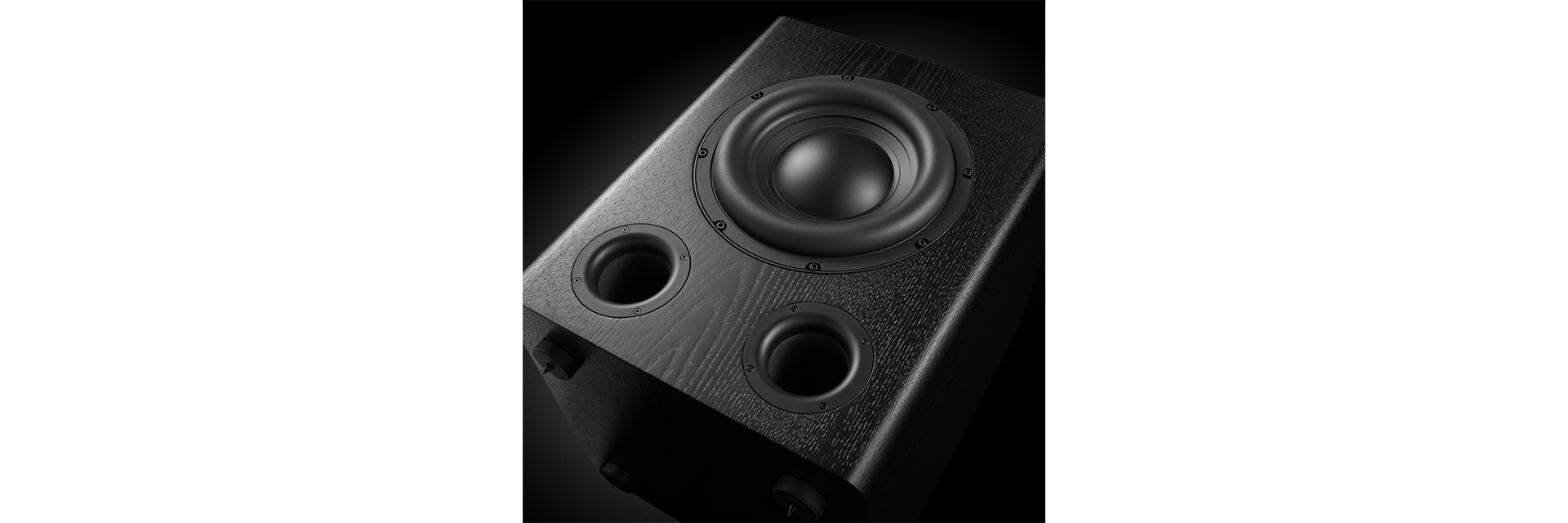Bass-reflex design with dual front-firing ports
